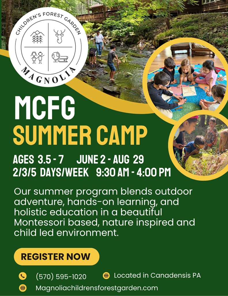 School-summer-camp